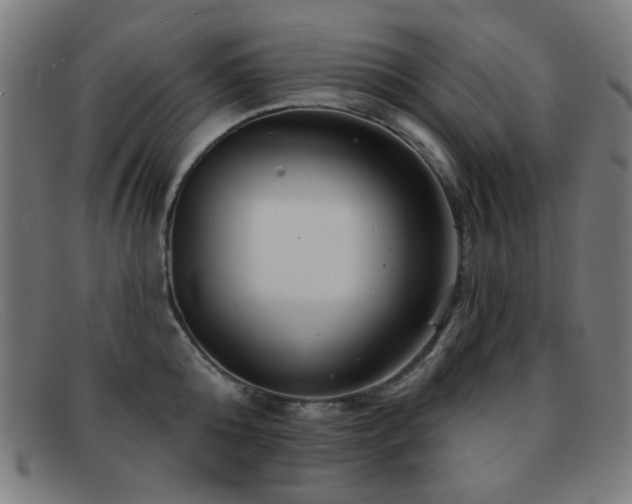 X0000092040808200709121152