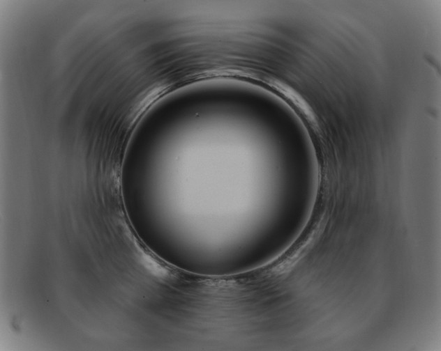 X0000092040809200709121152