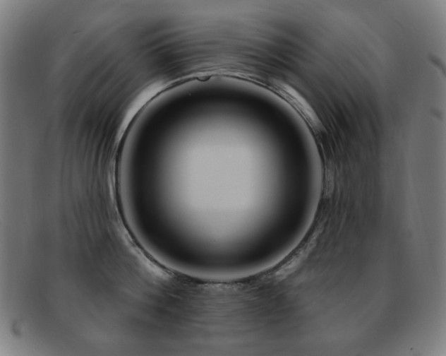 X0000092040812200709121152