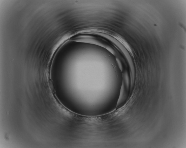 X0000092040813200709121152