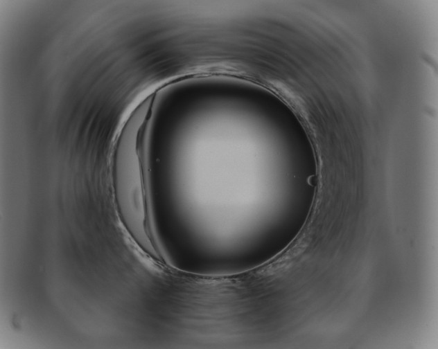 X0000092040816200709121152