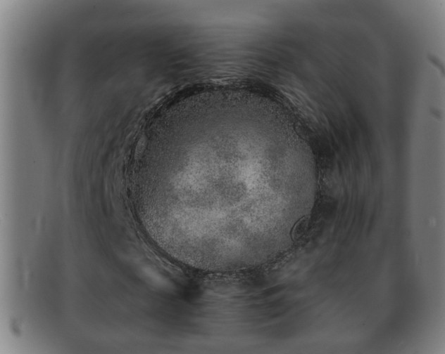 X0000092040817200709121152