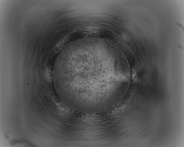 X0000092040819200709121152