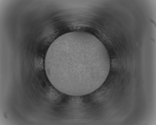 X0000092040820200709121152