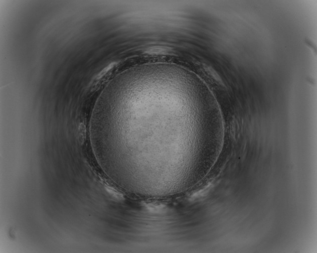 X0000092040821200709121152