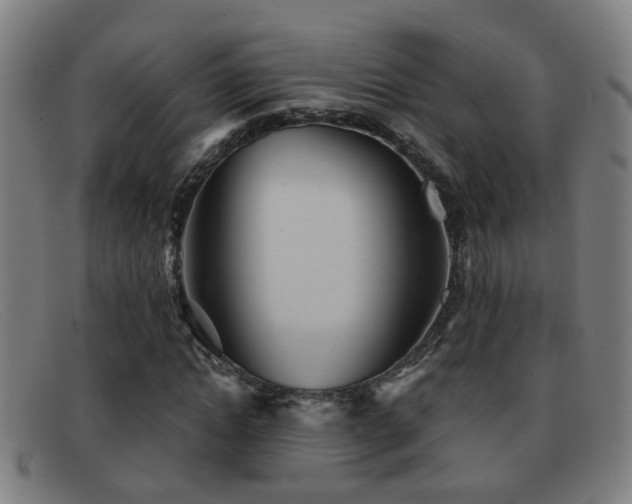 X0000092040822200709121152