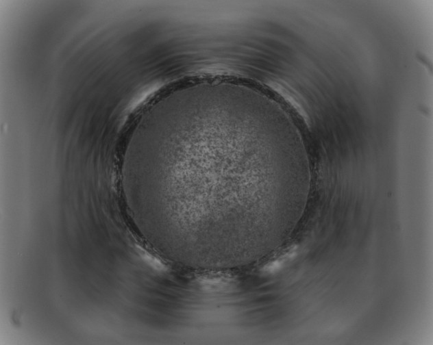 X0000092040823200709121152