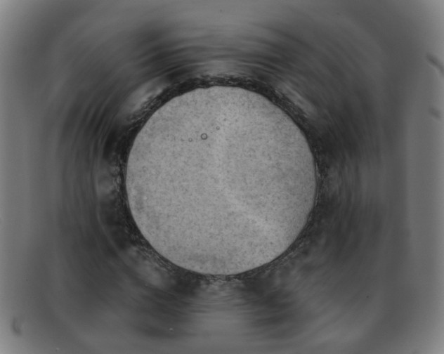 X0000092040824200709121152