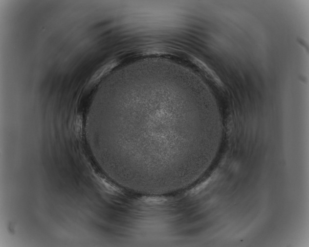 X0000092040825200709121152