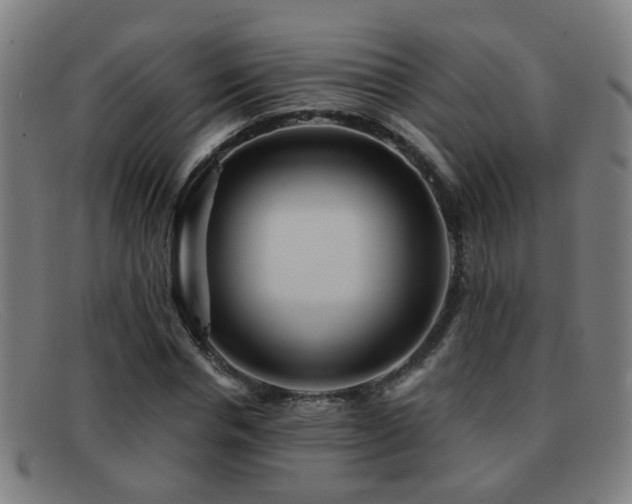 X0000092040826200709121152