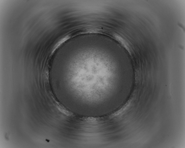 X0000092040827200709121152