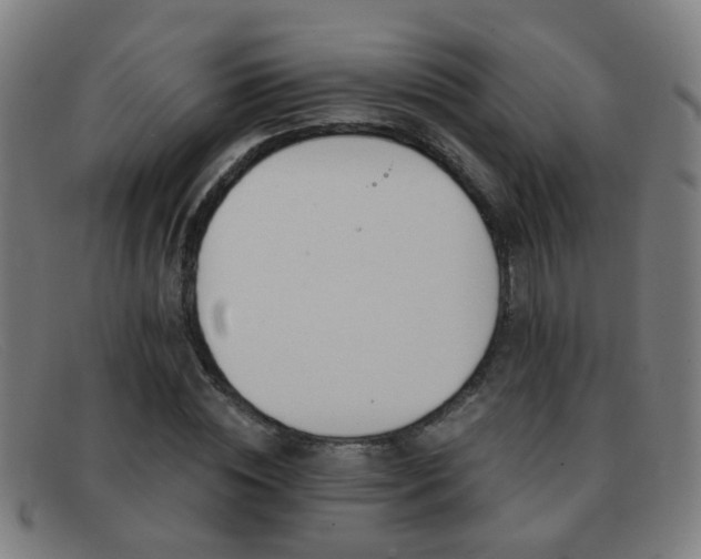 X0000092040828200709121152