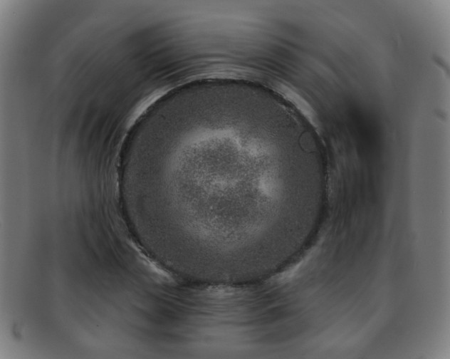 X0000092040829200709121152