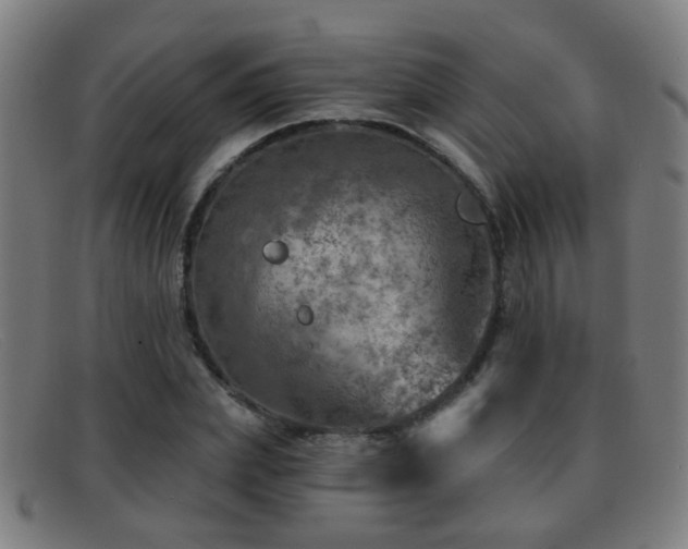 X0000092040831200709121152