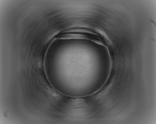 X0000092040833200709121152