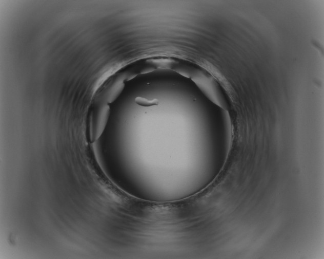 X0000092040834200709121152