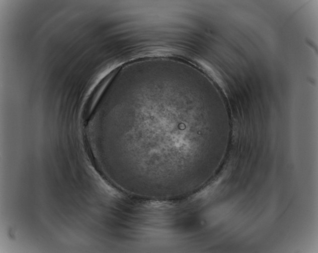 X0000092040835200709121152