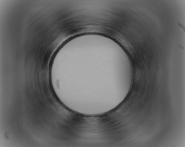 X0000092040836200709121152