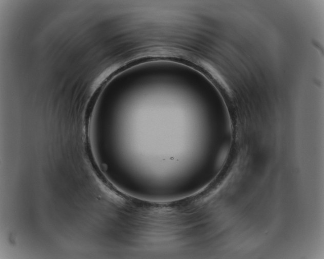 X0000092040837200709121152