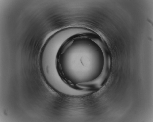 X0000092040838200709121152