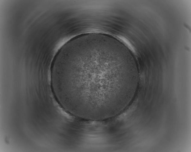 X0000092040839200709121152