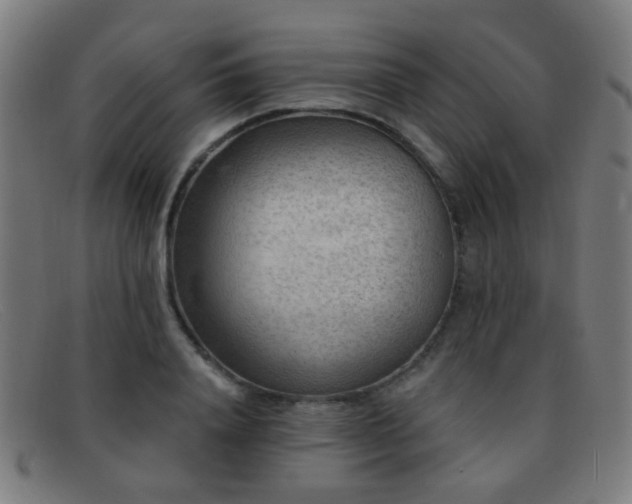 X0000092040840200709121152