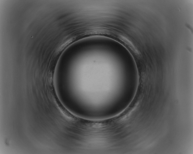 X0000092040841200709121152