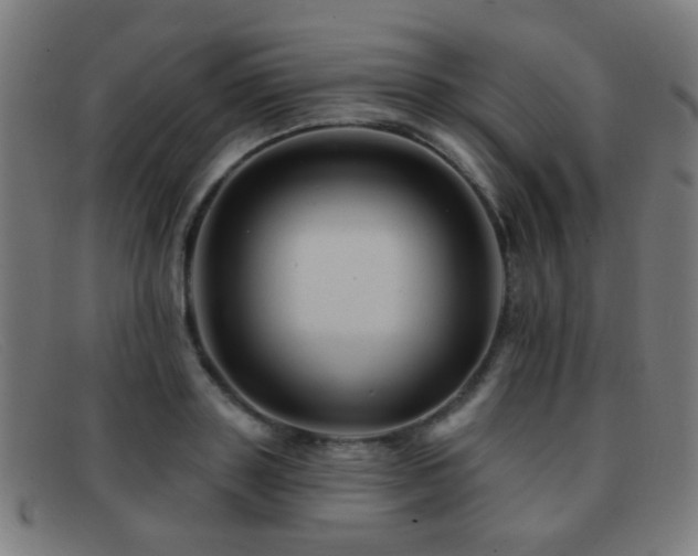 X0000092040843200709121152