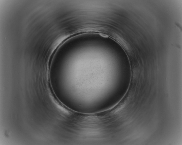 X0000092040844200709121152