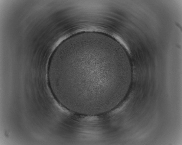 X0000092040845200709121152