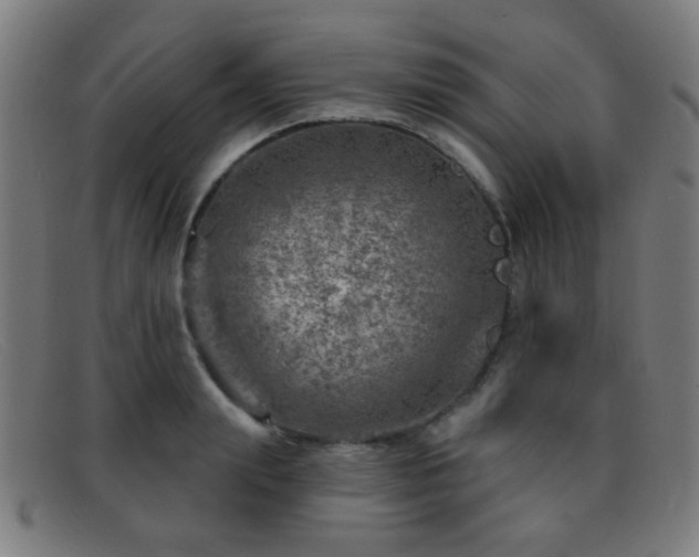 X0000092040847200709121152