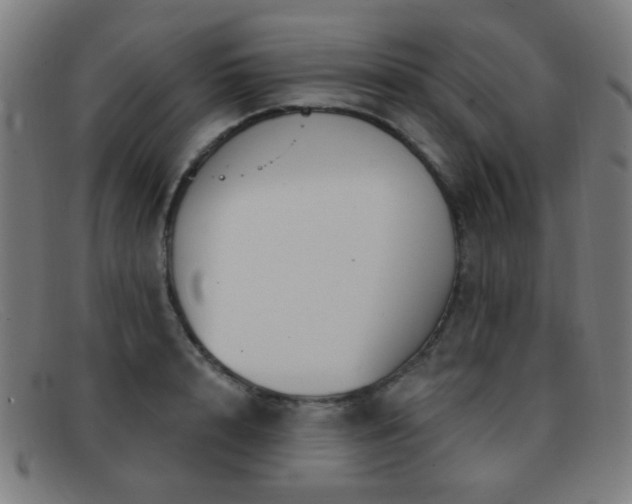 X0000092040848200709121152