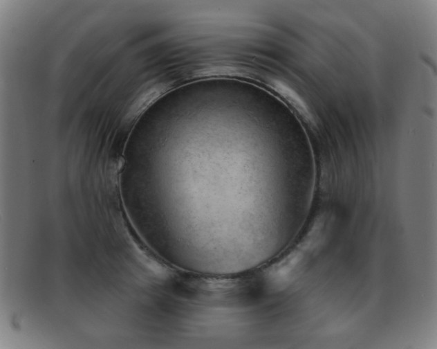 X0000092040849200709121152