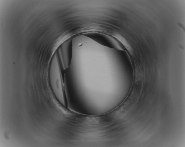 X0000092040850200709121152