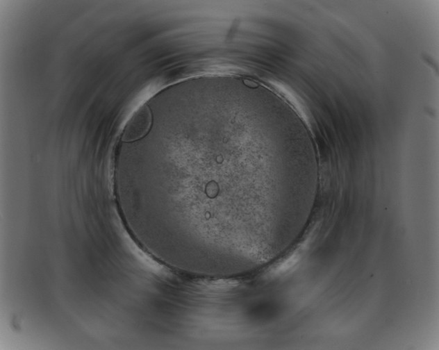 X0000092040851200709121152