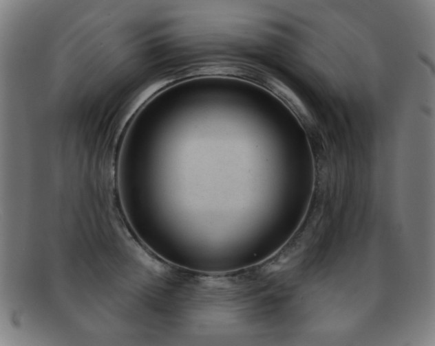 X0000092040852200709121152