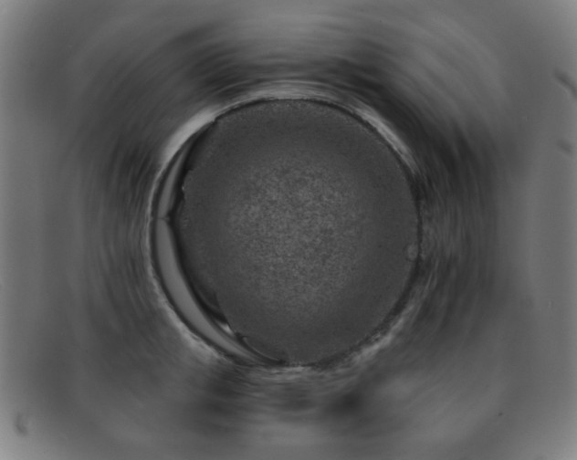 X0000092040853200709121152