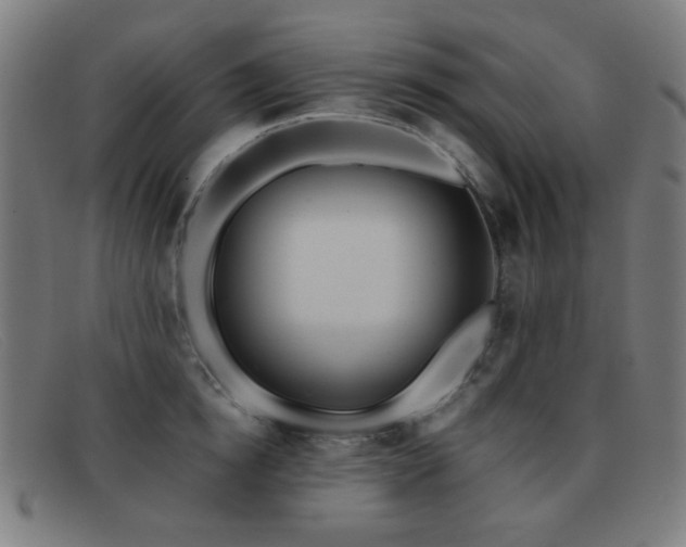 X0000092040854200709121152