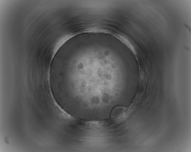 X0000092040855200709121152