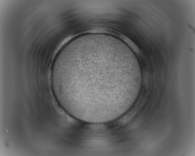 X0000092040856200709121152