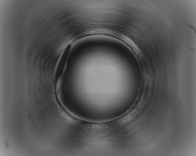 X0000092040857200709121152