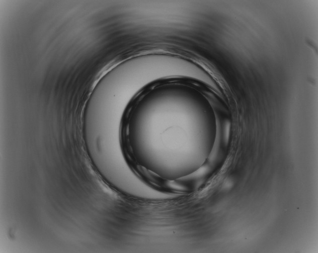 X0000092040858200709121152