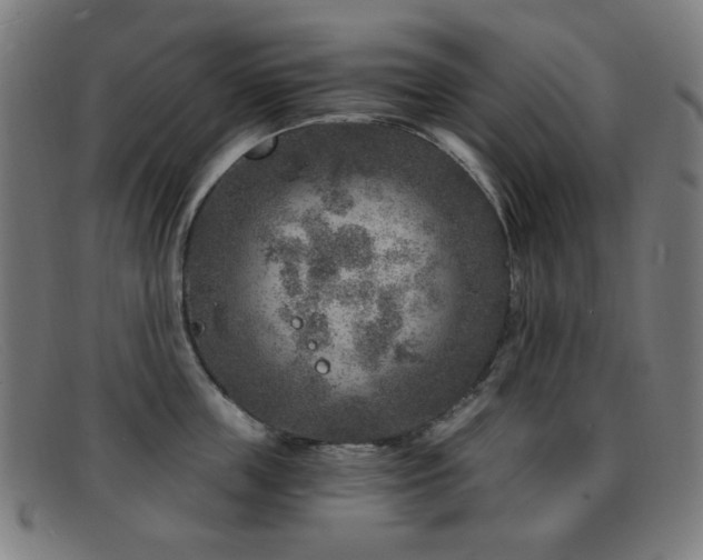 X0000092040859200709121152