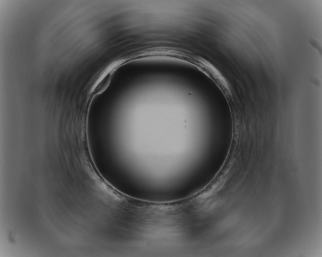 X0000092040860200709121152