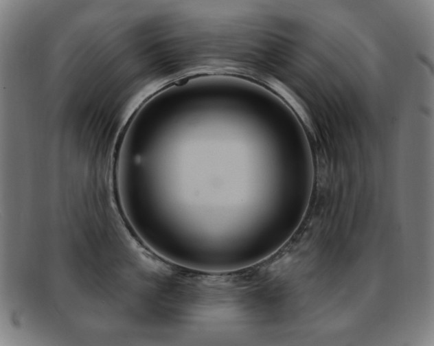 X0000092040861200709121152