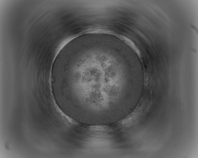 X0000092040863200709121152