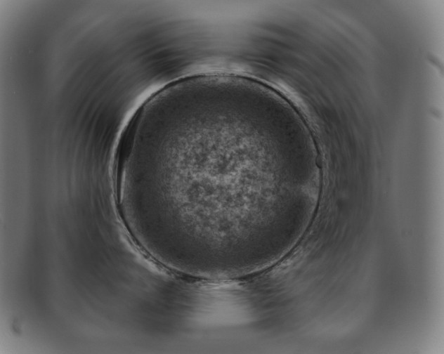 X0000092040864200709121152