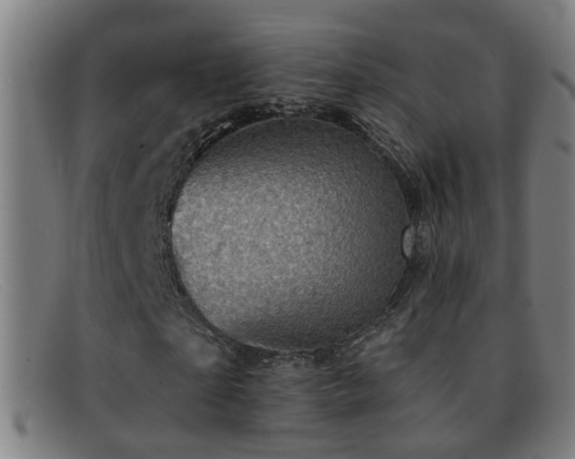 X0000092040865200709121152