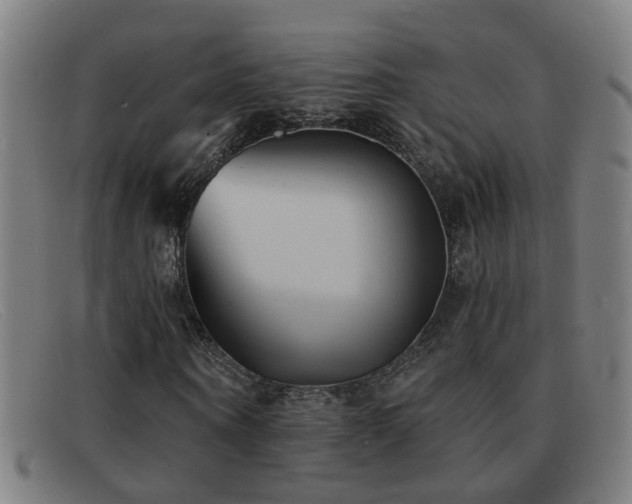 X0000092040866200709121152