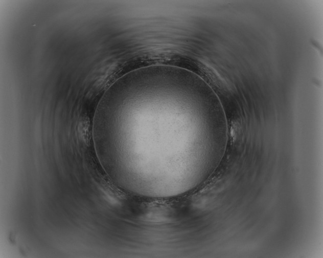 X0000092040867200709121151